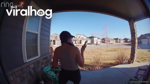 Mom Trips and Falls Off Steps and Apologizes