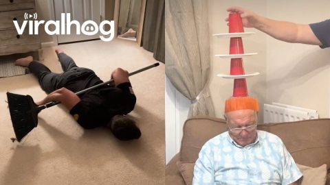 Hilarious Party Activities || ViralHog