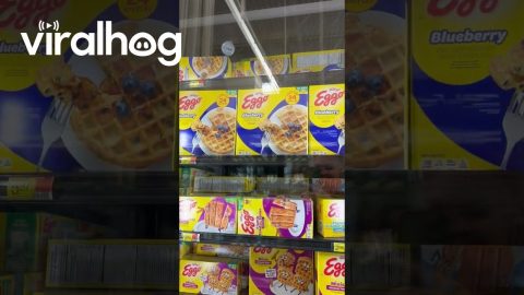 Grocery Shopper Spontaneously Joins Race || ViralHog