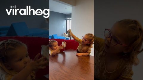 Girl Makes Sure to Share With Twin Sister || ViralHog