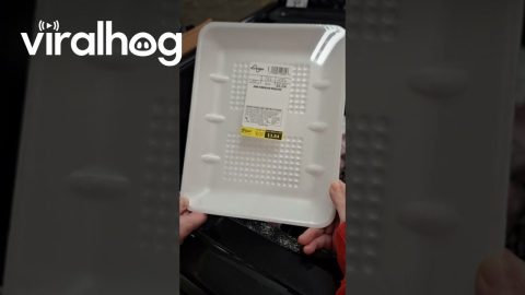 Packaged Air For Sale || ViralHog