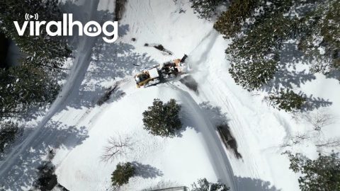 Snow Removed After Epic Sierra Nevada Storm || ViralHog