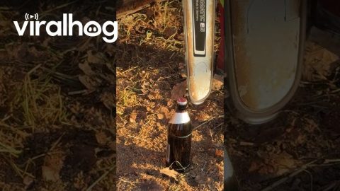 Skillfully Opening A Beer With A Chainsaw || ViralHog
