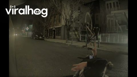 Cyclist Cushions Car With Face || ViralHog