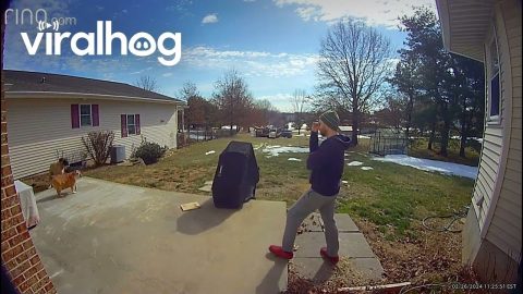 Leashed Dog Accidently Clotheslines Grill || ViralHog