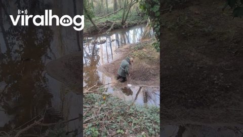 Man Jumps Into Knee-Deep Mud || ViralHog