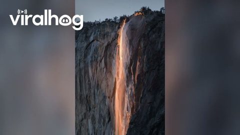 A Rare Uninterrupted Firefall In Yosemite || ViralHog