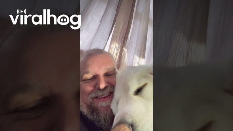 Man and His Dog Have a Nightly Routine || ViralHog