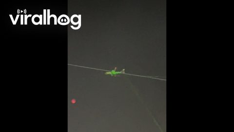 Everyone Points Lasers at Plane Passing By || ViralHog