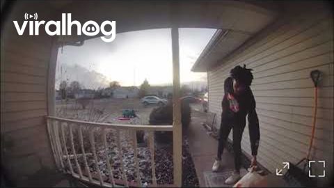 Cat Scares DoorDash Delivery Driver || ViralHog