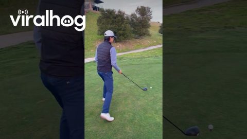 Golf Ball Gets Stuck in Driver || ViralHog