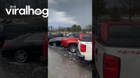 Hailstorm Aftermath In a Packed Parking Lot || ViralHog