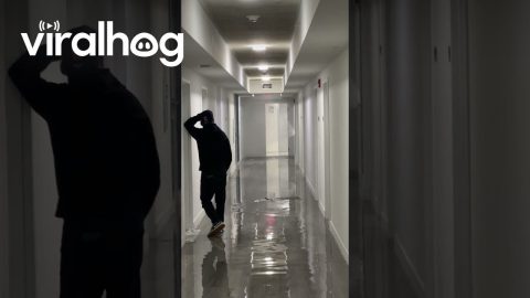 Miami Apartment Building Floods || ViralHog