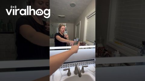 DIY Project Stops Door || ViralHog