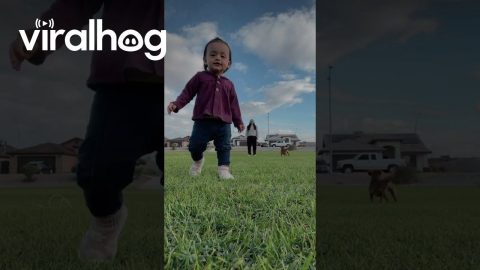 Girl Grabs Phone And Takes Off Running || ViralHog