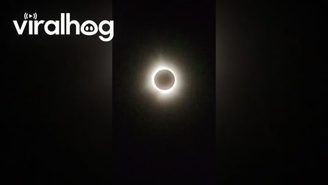 Solar Flares And Stars Seen In Eclipse Totality || ViralHog