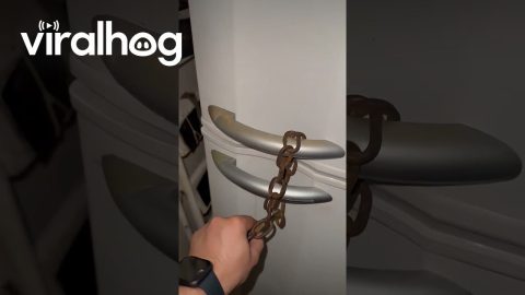 Fridge Lock Fails At Its One Job || ViralHog