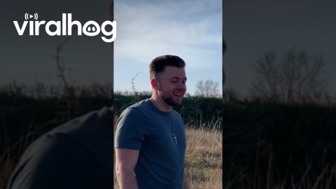 A Near-Kiss Moment || ViralHog