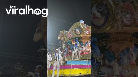 Carnival in Brazil || ViralHog