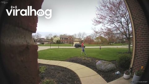 Dad Takes One For the Team During Baseball Practice With Daughter || ViralHog