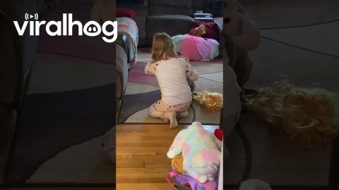 A Very Patient Pup Puts Up With Daughter's Fashion Show || ViralHog