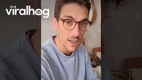 Smart Dogs Know What Pizza They Can Eat and What They Can't || ViralHog