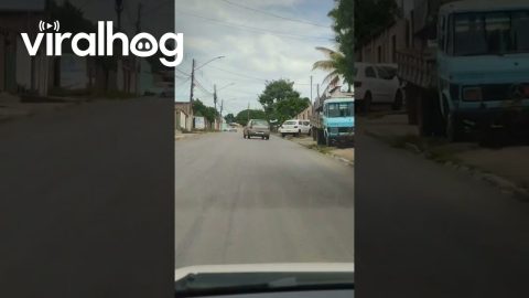 Catawampus Car Drives Awkwardly Down The Street || ViralHog