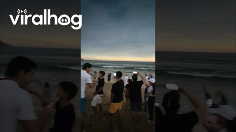 Crowd Watches Total Solar Eclipse in Mazatlán || ViralHog