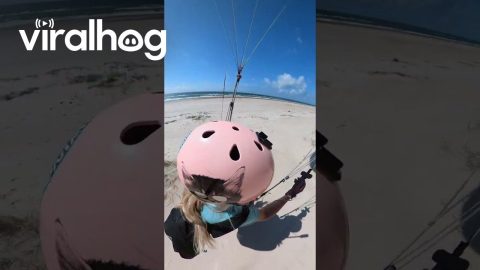 Pooch Runs Alongside Paraglider || ViralHog