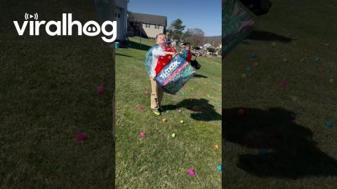 Kids Hunt For Easter Eggs In Inflatable Ball Suits || ViralHog