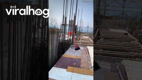 Taiwan Earthquake Shakes Building Under Construction || ViralHog