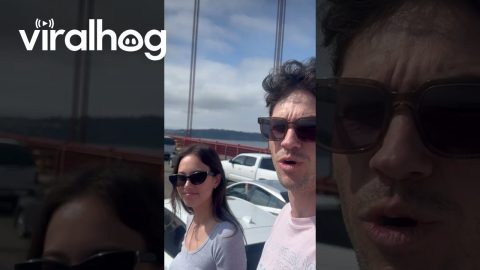 Protesters Block the Golden Gate Bridge || ViralHog