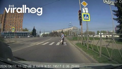 Grandma and Grandson Narrowly Avoid Passing Vehicle || ViralHog