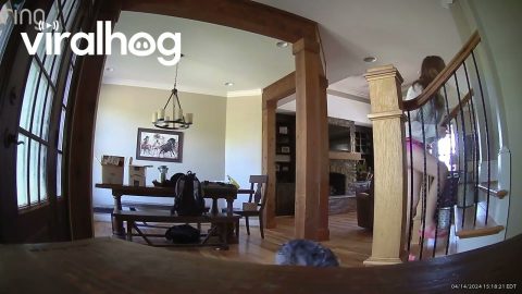 Security Camera Catches Trip and Fall on Staircase || ViralHog
