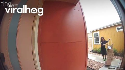 FedEx Delivery Driver Dumps Packages || ViralHog