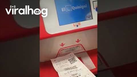 Imagine Seeing This When Checking Your EuroMillions Ticket || ViralHog