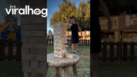 Man Skillfully Plays Jenga With a Whip || ViralHog