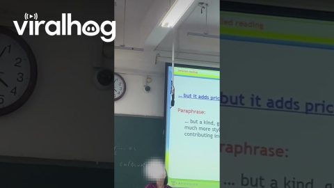 Buzzing Broadcast in the Classroom || ViralHog
