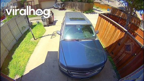 Boy Learns Why You Don't Drag the Trash Bag || ViralHog