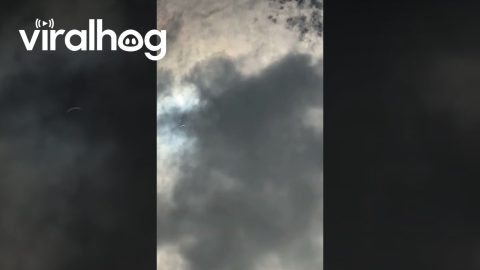 Mysterious Object Flies Past Solar Eclipse || ViralHog