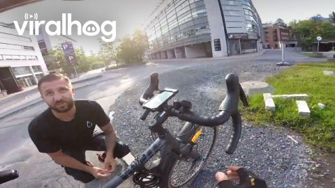 Cyclist Collides With Van Going Through Roundabout || ViralHog