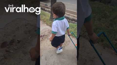 Tiny Twins Walk to Their First Day of School || ViralHog