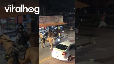 Sports Fans Chased Away by Police on Horseback || ViralHog