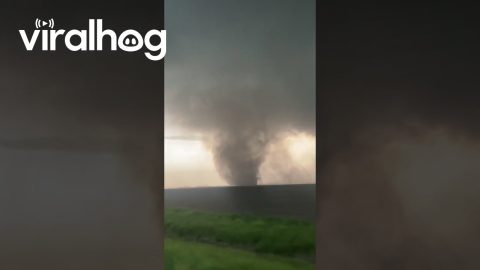 Storm Chasers Capture Tornado in Greenfield, Illinois || ViralHog
