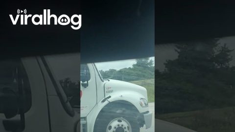 Chip Truck Involved in Police Chase in Texas || ViralHog