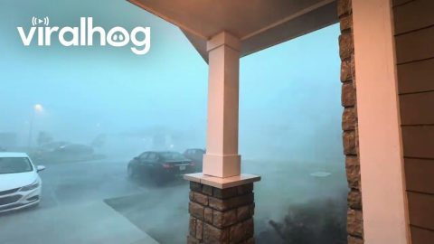 Intense Tornado Winds Recorded In Slidell, LA || ViralHog
