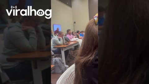 When You're In School But Daddy Duties Come First || ViralHog