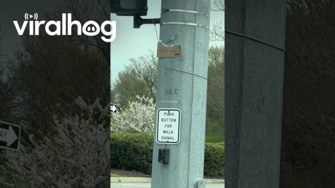 Husband's Tiny Yard Sale Sign Fails to Attract Customers || ViralHog
