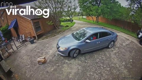 Amazon Driver Runs Over Package He Just Delivered || ViralHog