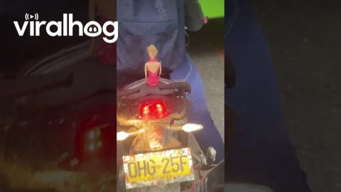 Motorcyclist Gives Barbie a Lift || ViralHog